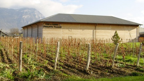 Cave à Vin Viallet - Crédit photo Philippe Caire